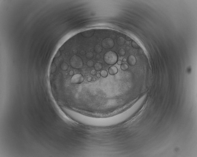 X0000116871482201001191712