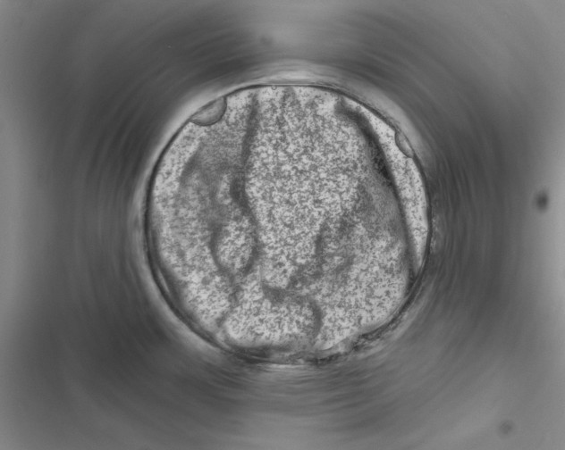 X0000116871483201001191712