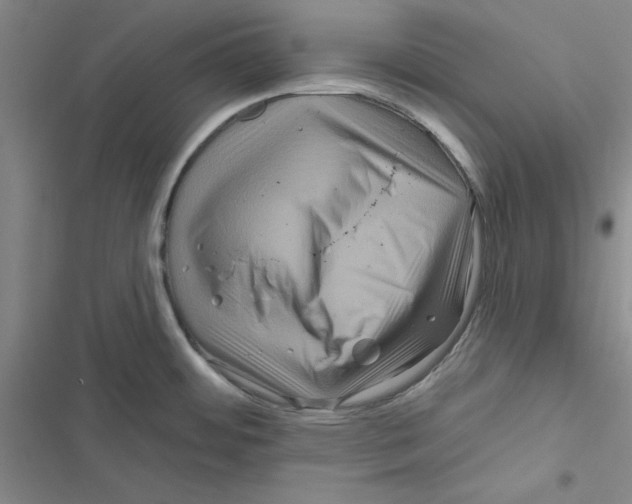 X0000116871484201001191712