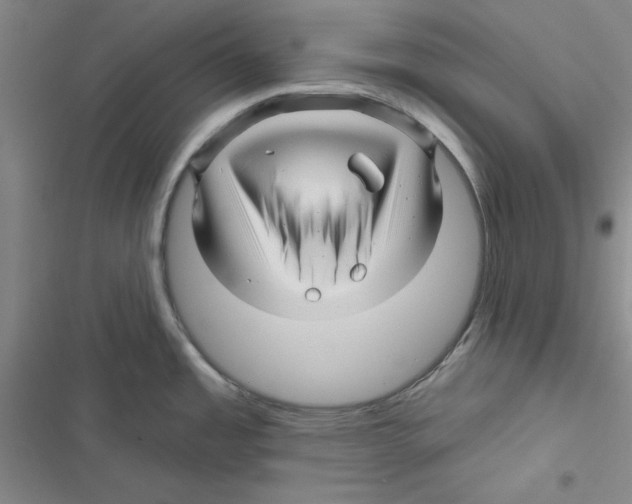 X0000116871485201001191712
