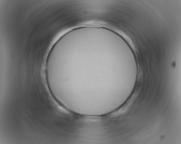 X0000116871486201001191712