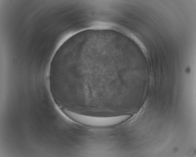 X0000116871487201001191712