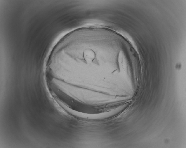 X0000116871488201001191712