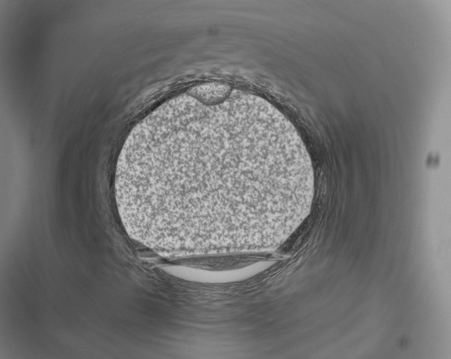 X0000116871489201001191711