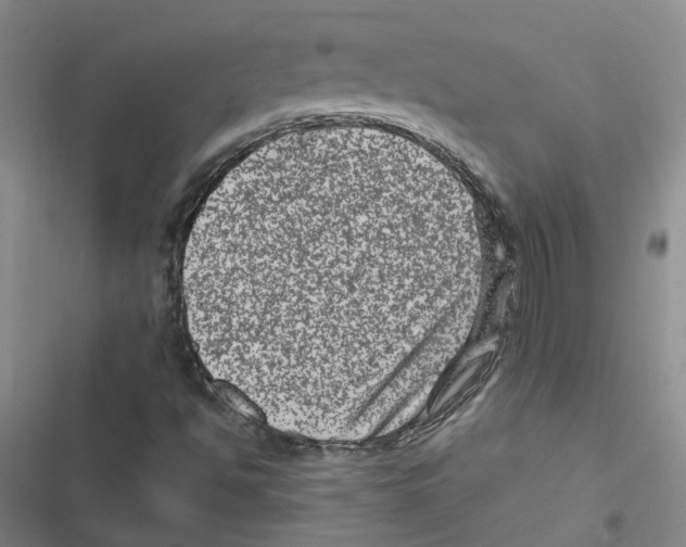 X0000116871494201001191711