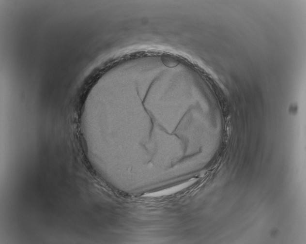 X0000116871495201001191711