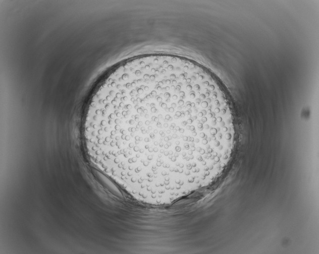 X0000116871499201001191711