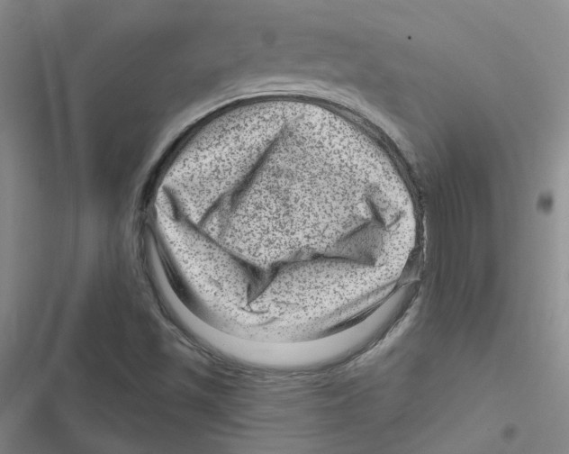 X0000116871501201001191712