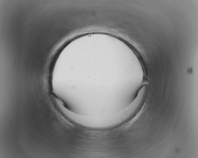 X0000116871502201001191712