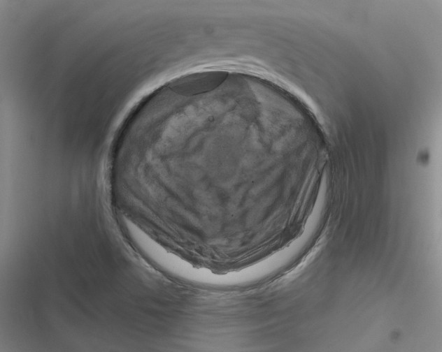 X0000116871506201001191712