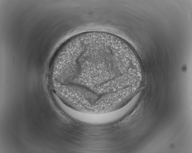 X0000116871507201001191712