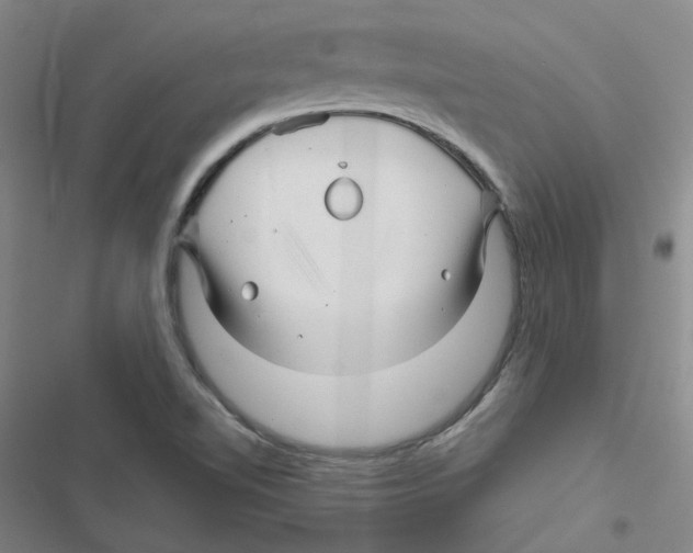 X0000116871510201001191712