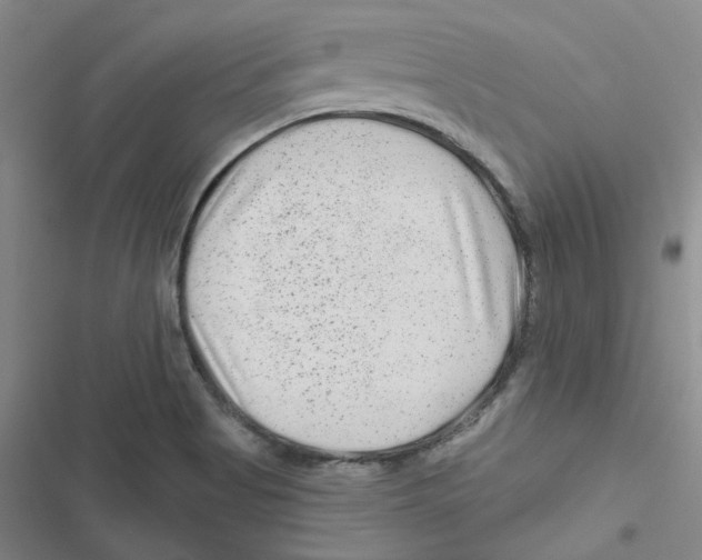 X0000116871513201001191712