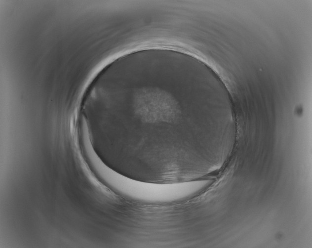 X0000116871515201001191712