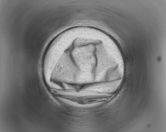 X0000116871517201001191712