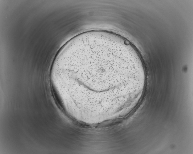 X0000116871521201001191712