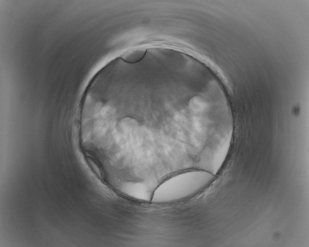 X0000116871522201001191712
