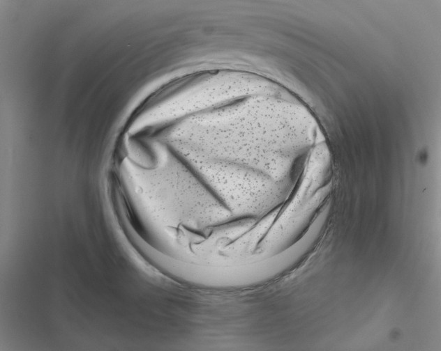 X0000116871523201001191712
