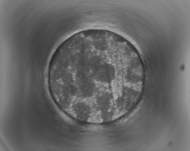 X0000116871525201001191712
