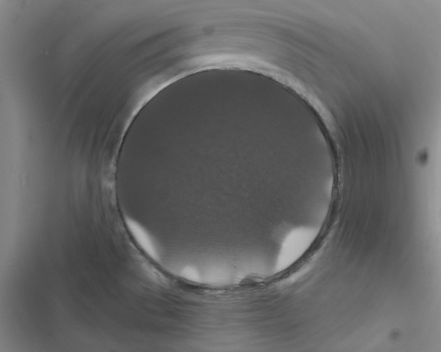 X0000116871529201001191712
