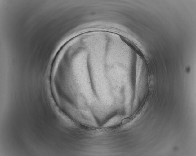 X0000116871530201001191712