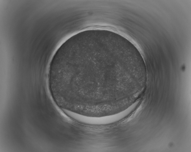 X0000116871533201001191712