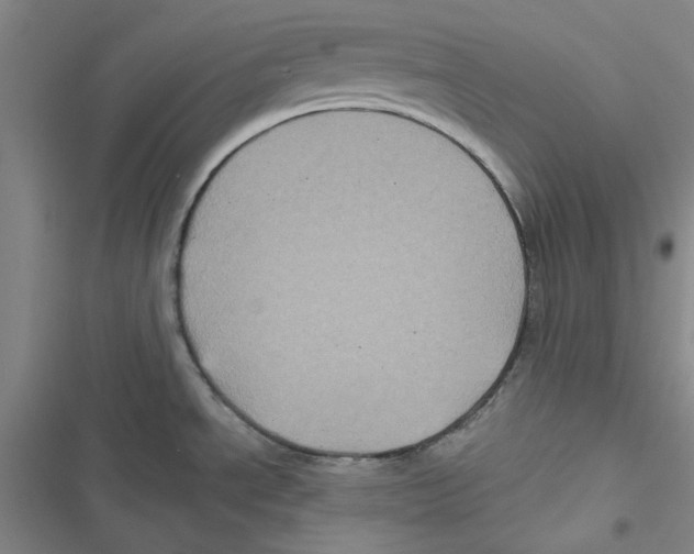 X0000116871534201001191712