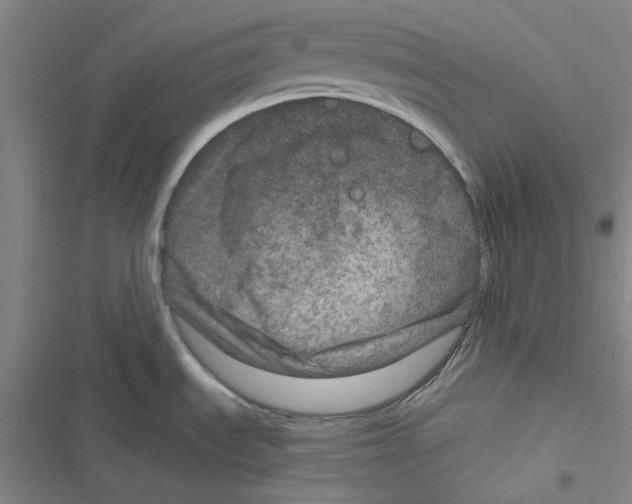 X0000116871535201001191712