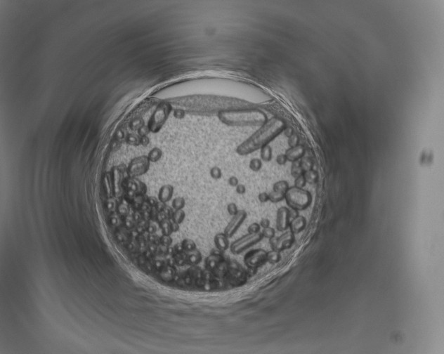 X0000116870001201002021137