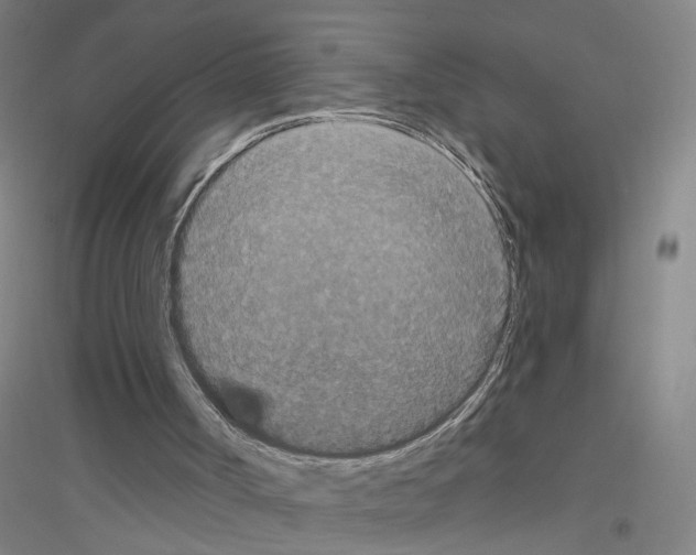 X0000116870002201002021137