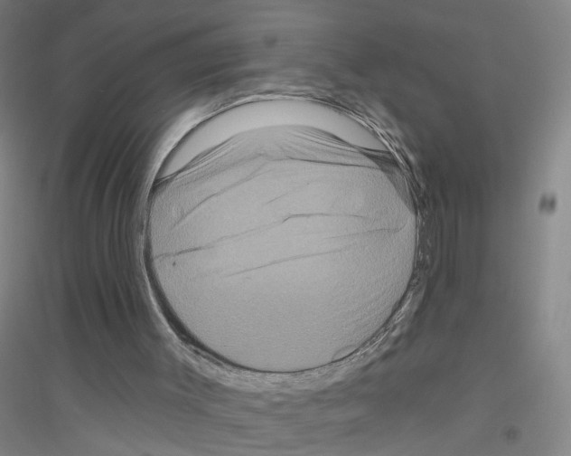 X0000116870003201002021137