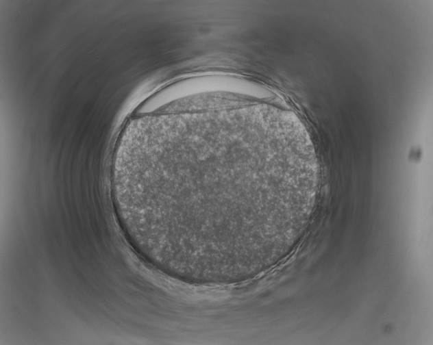 X0000116870004201002021137