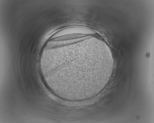X0000116870005201002021137
