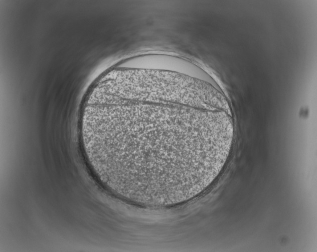 X0000116870008201002021137