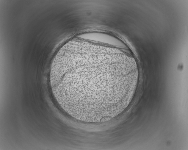 X0000116870010201002021137