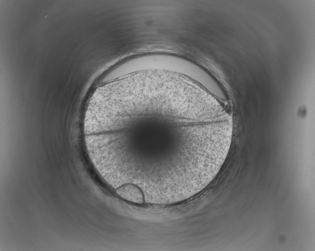 X0000116870012201002021137