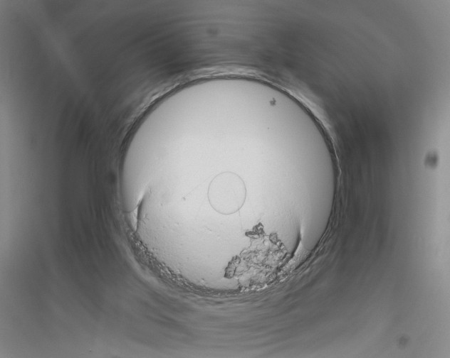X0000116870013201002021137