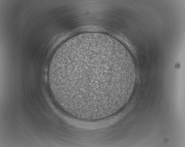 X0000116870014201002021137