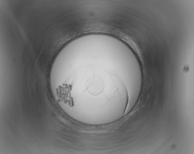 X0000116870017201002021137