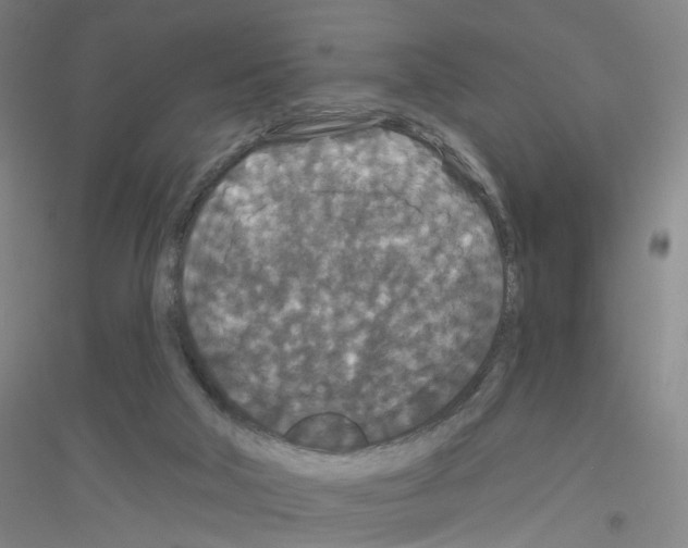 X0000116870018201002021137