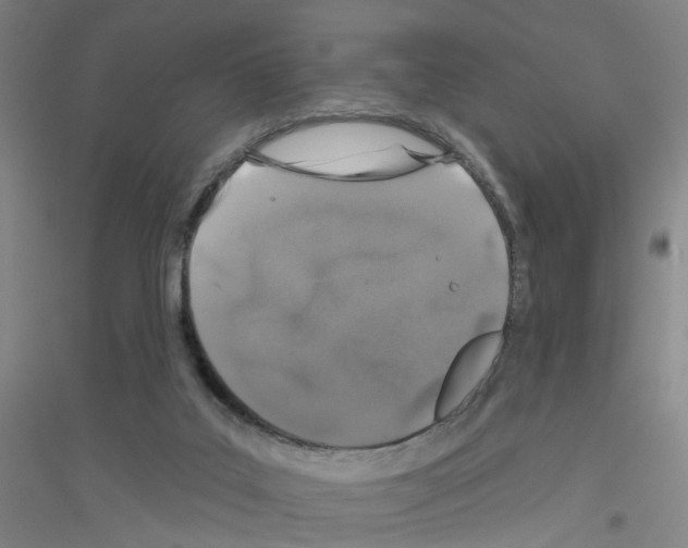 X0000116870019201002021137
