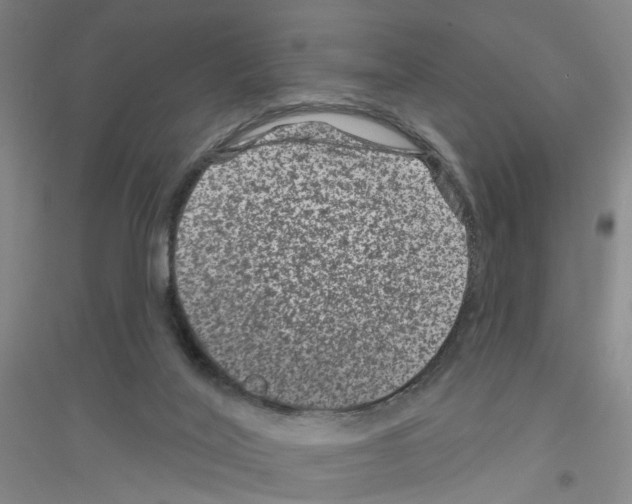 X0000116870020201002021137
