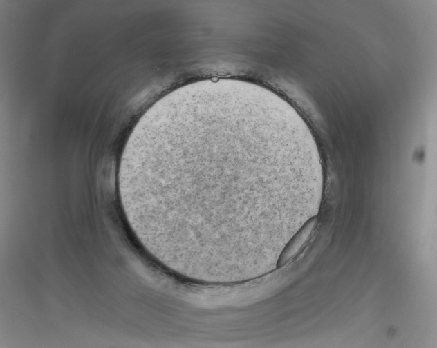 X0000116870021201002021137