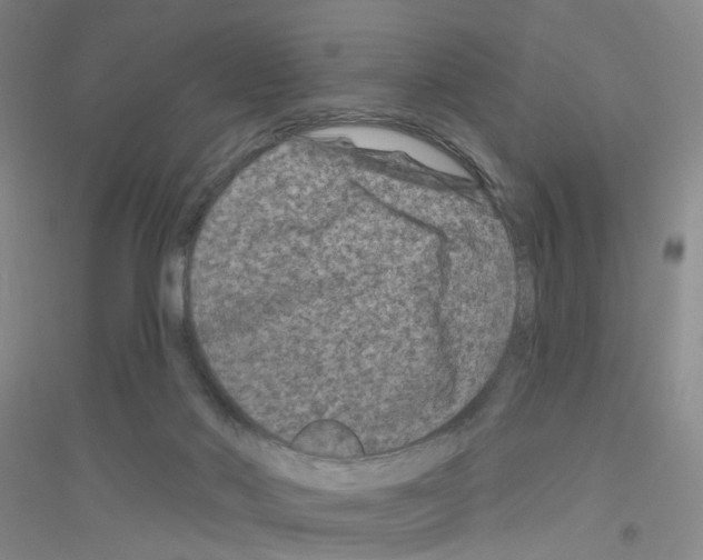 X0000116870022201002021137
