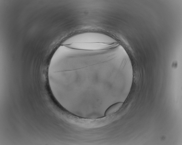 X0000116870023201002021137
