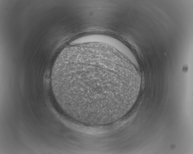 X0000116870024201002021136