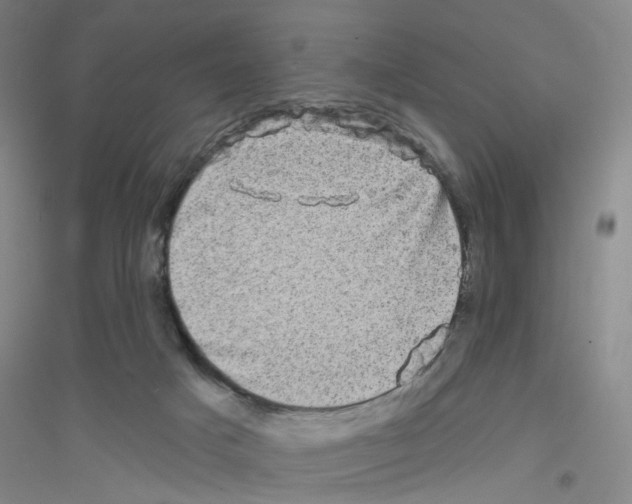 X0000116870025201002021136