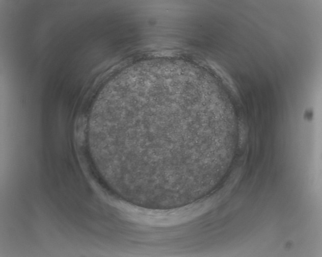 X0000116870026201002021136