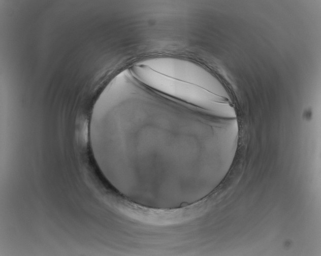 X0000116870027201002021136