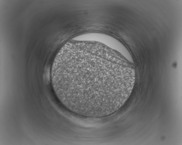 X0000116870028201002021136